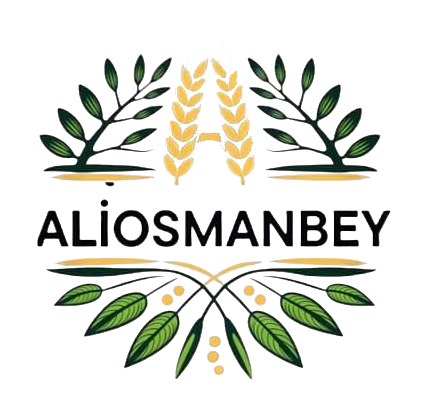 Ali Osman Bey Logo